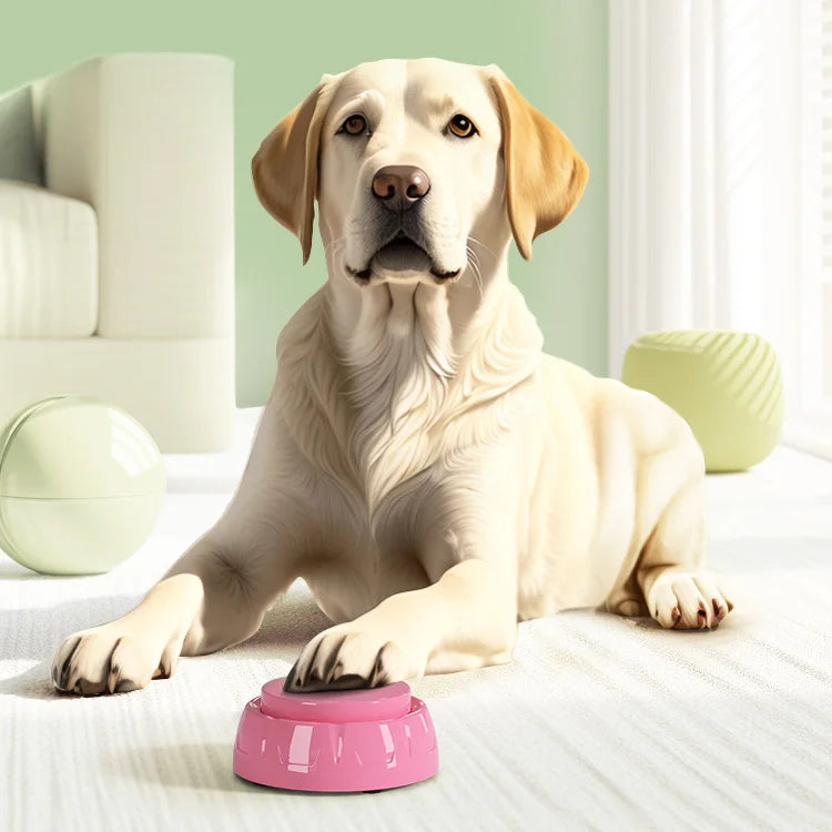 6 Pack Set Recordable Dog Training Button Pet Communication Toys